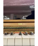 PIANOFORTE MEZZA CODA PETROF