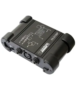 Audiodesign PA of Passive 100p