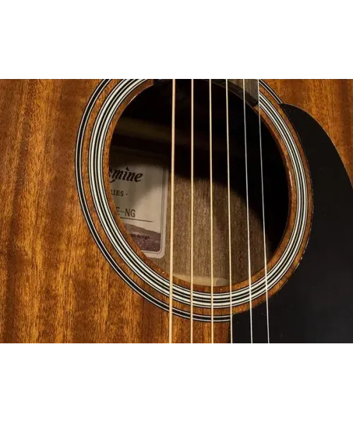 Takamine GSD11mce-no