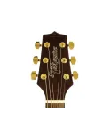 Takamine GSD11mce-no