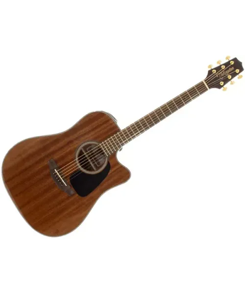 Takamine gsd11mce-n