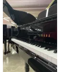 Half-tail piano YAMAHA C3 shiny black