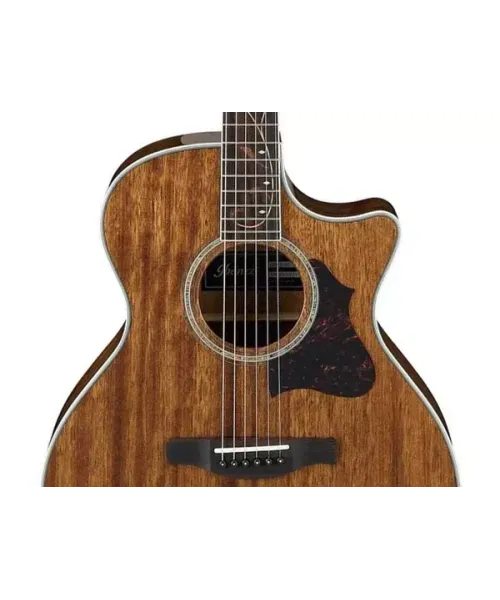 Ibanez AE245 Natural