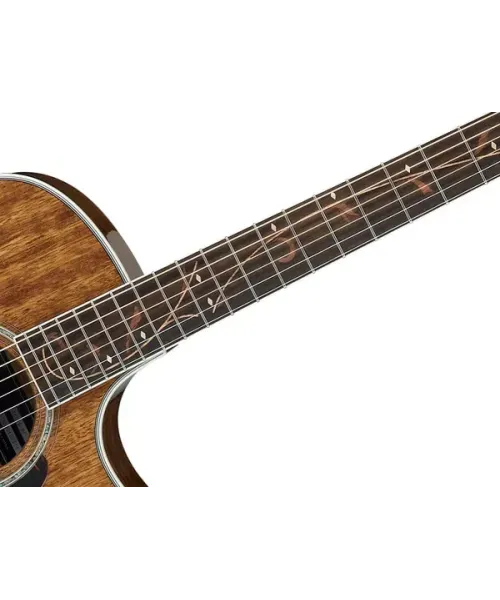 Ibanez AE245 Natural
