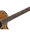 Ibanez AE245 Natural