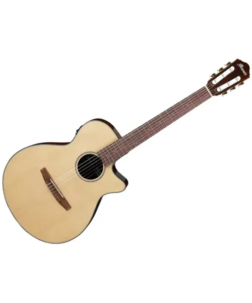 Ibanez aeg50n nt natural high gloss
