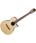 Ibanez aeg50n nt natural high gloss