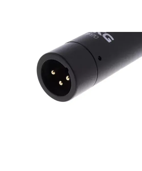 Akg p170