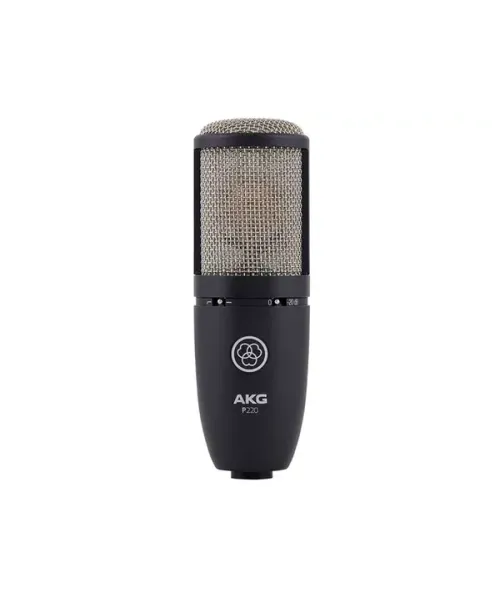 Akg p220