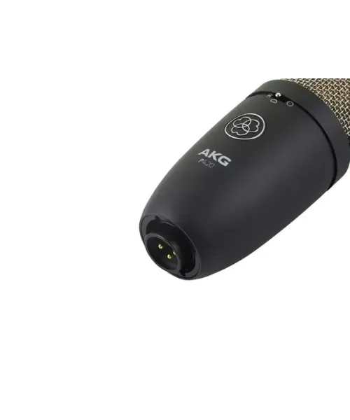 Akg p420