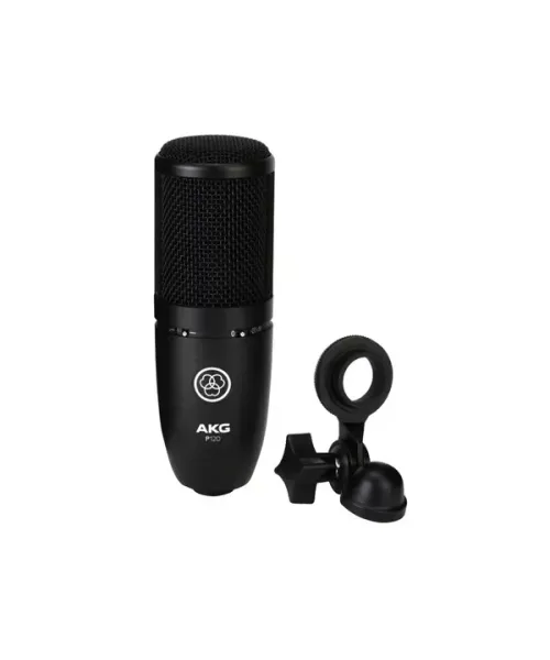Akg p120