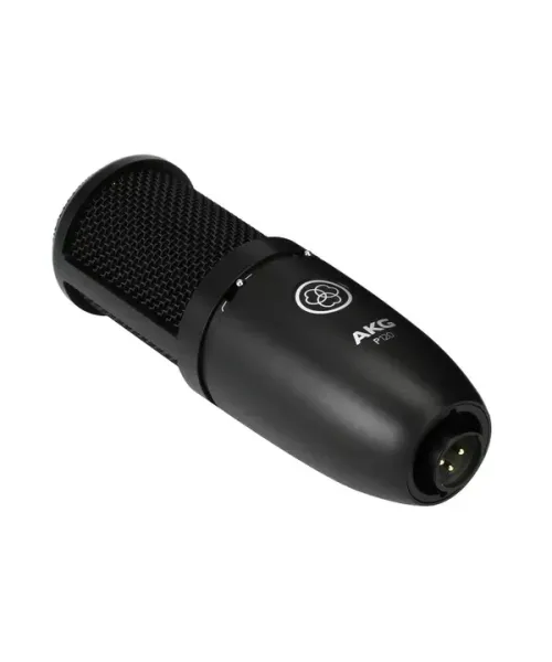 Akg p120