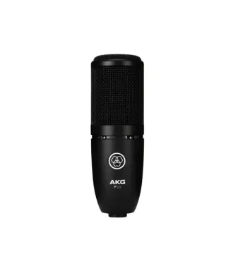 Akg p120