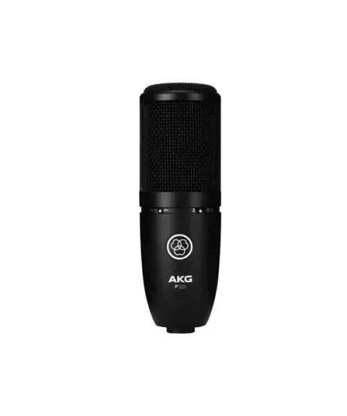 Akg p120