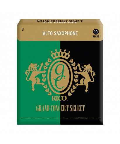 CONF 10 ANCE RICO GRAND CONCERT RGC10ASX300 SAX ALTO 3.0