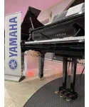 tail piano Yamaha C7 shiny black