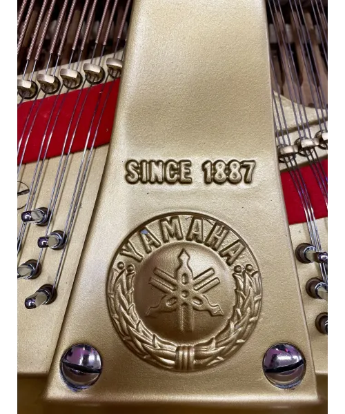 tail piano Yamaha C7 shiny black