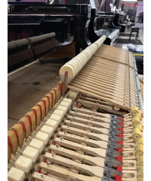 tail piano Yamaha C7 shiny black