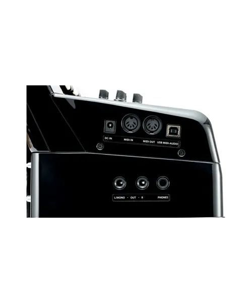 Korg FISA Supreme - The perfect digital accordion - Piazzo