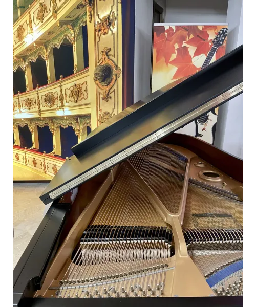 Half-tail piano KAWAI KG5D black satin