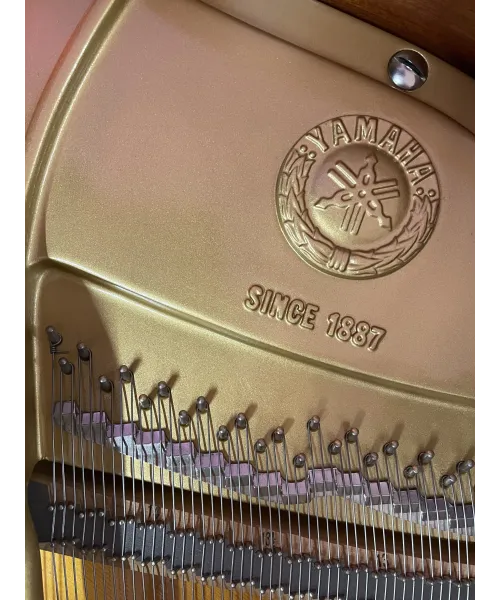 Half-tail piano YAMAHA C5 black