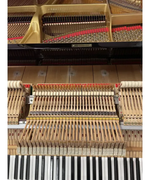 Half-tail piano YAMAHA C5 black