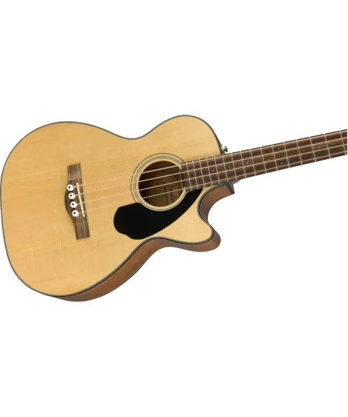 Low Electro Acoustic Concert Natural