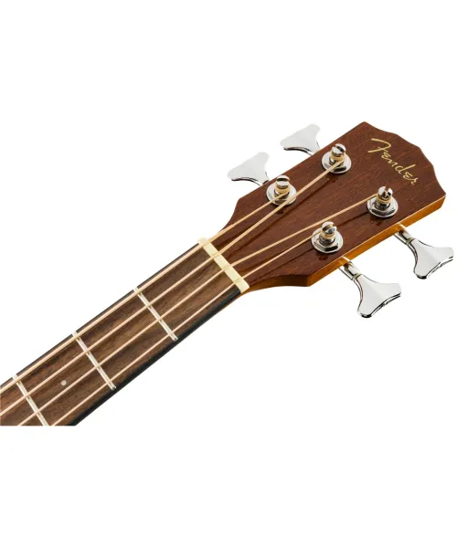 Low Electro Acoustic Concert Natural