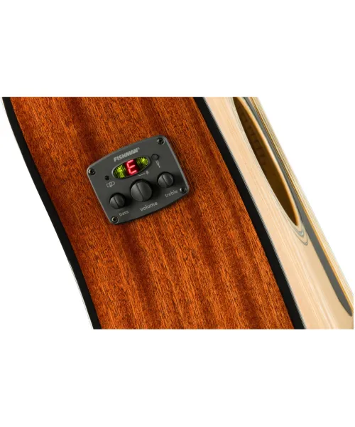 Dreadnought electro-acoustic guitar at 12 strings, Natural