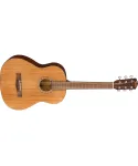 Acoustic Guitar Traveler 3 / 4E Natural