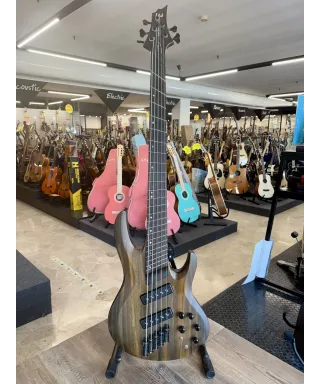 Ltd-b1005ms-special-edition-custody