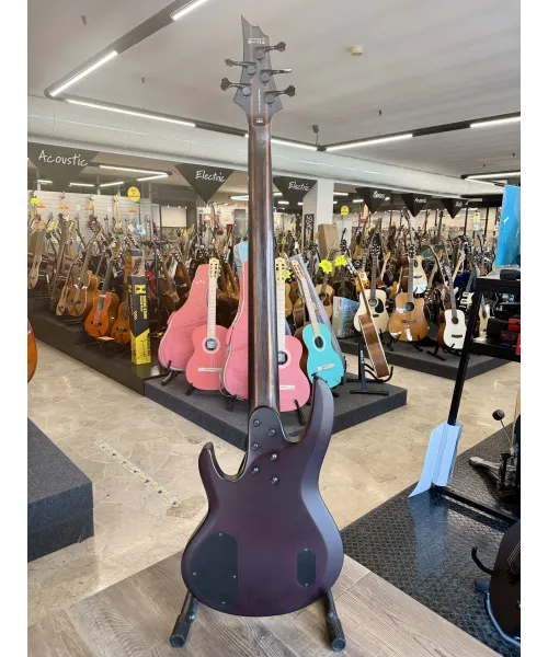 ltd-b1005ms-special-edition-custodia