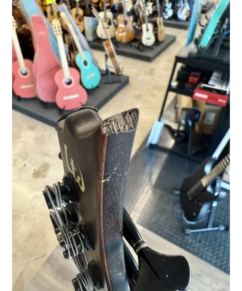 ltd-b1005ms-special-edition-custodia