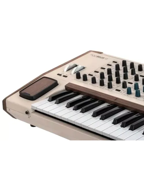 Arturia Polybrute 12 - Polyphonic analog synthesizer | Piazzo