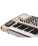 Arturia Polybrute 12 - Polyphonic analog synthesizer | Piazzo