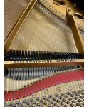 half-tail piano Steinway & Sons or-180 black