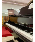 half-tailed piano C7 black