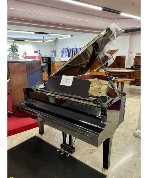 half-tailed piano C7 black