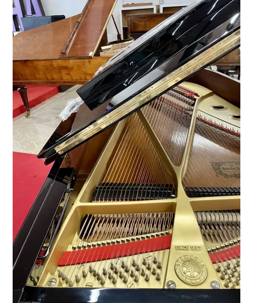 half-tailed piano C7 black