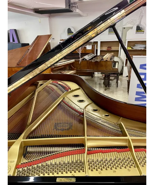 half-tailed piano C7 black