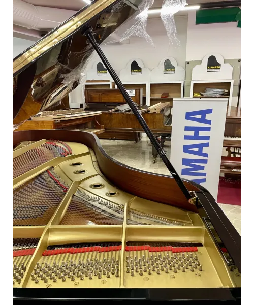 half-tailed piano C7 black