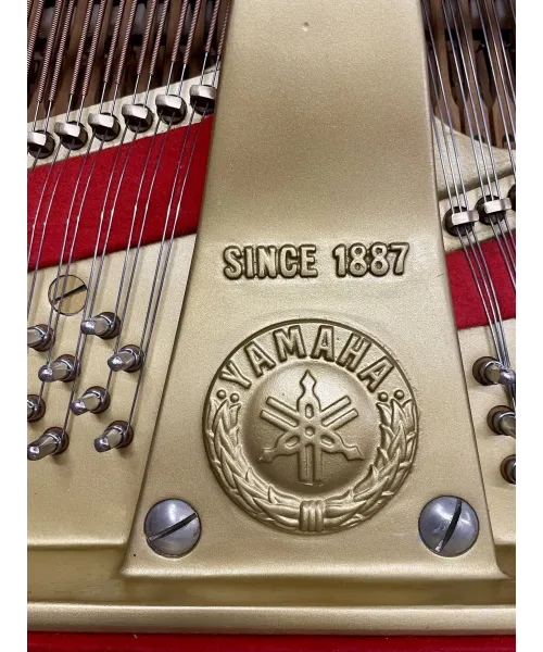 half-tailed piano C7 black