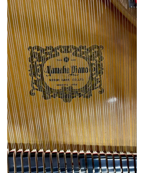 half-tailed piano C7 black