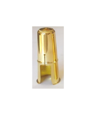 CSTV saxophone cooping CSTV