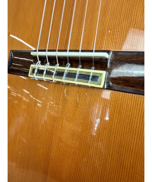 juan-l-cayuela-mod-25-custodia