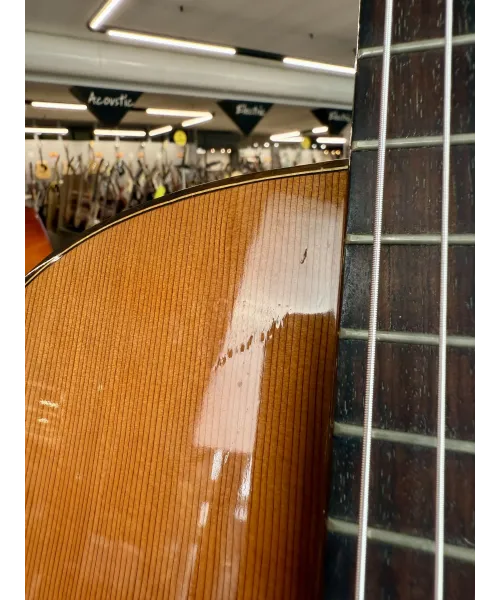 juan-l-cayuela-mod-25-custodia