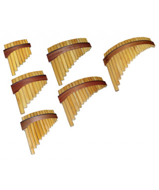 Pan 0 / 055b 8 Toni do-Do