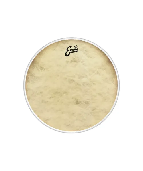 Evans TT15C7 Calftone 15" - Pelle Sintetica per Batteria | Piazzo