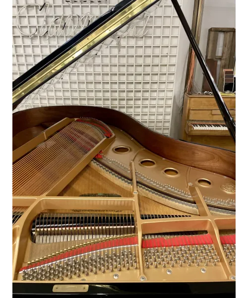 half-tailed piano CO40 black