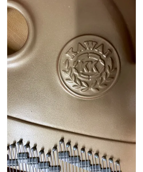 half-tailed piano CO40 black